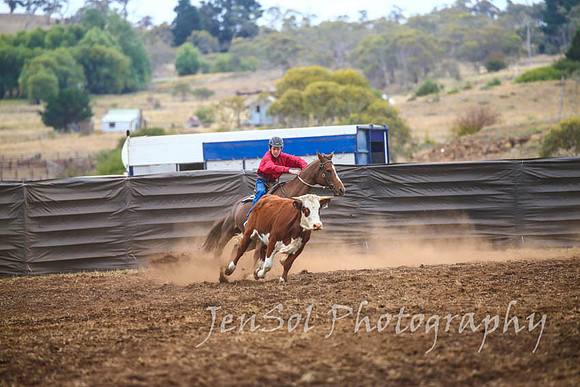 NimmitabelCampdraft2017_2848