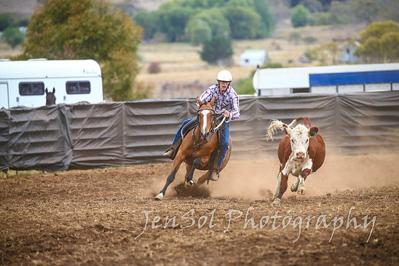 NimmitabelCampdraft2017_3014