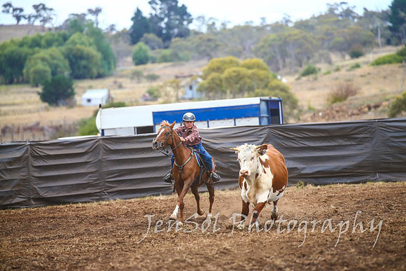 NimmitabelCampdraft2017_2896