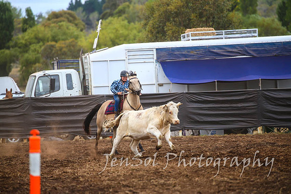 NimmitabelCampdraft2017_2873