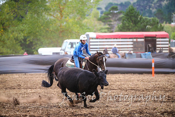 NimmitabelCampdraft2017_2930