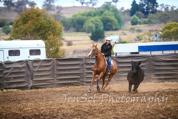NimmitabelCampdraft2017_2942