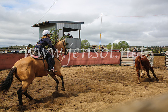 NimmitabelCampdraft2017_5938
