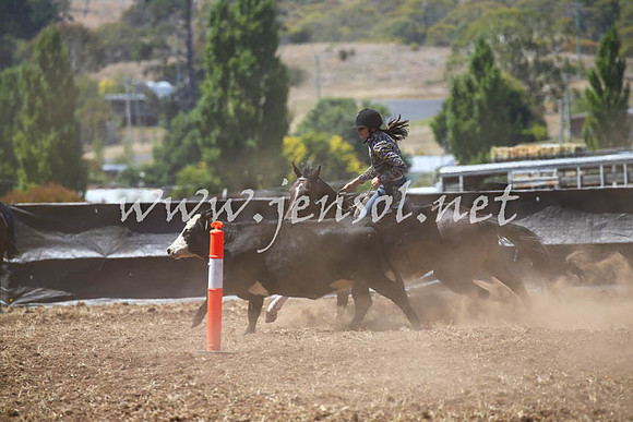 NimmitabelCampdraft2017_0256