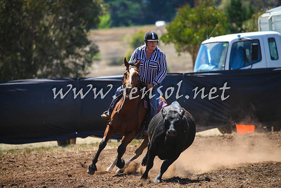 NimmitabelCampdraft2017_0168