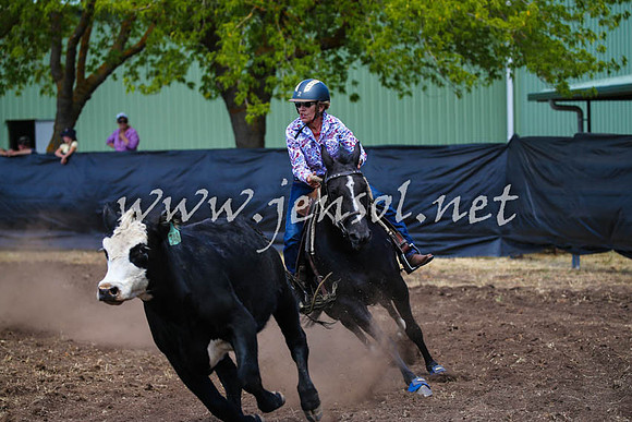 NimmitabelCampdraft2017_0339