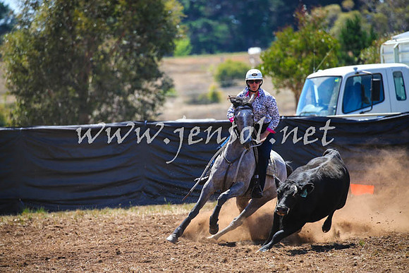 NimmitabelCampdraft2017_0122