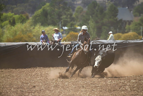 NimmitabelCampdraft2017_0303