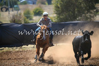 NimmitabelCampdraft2017_0228
