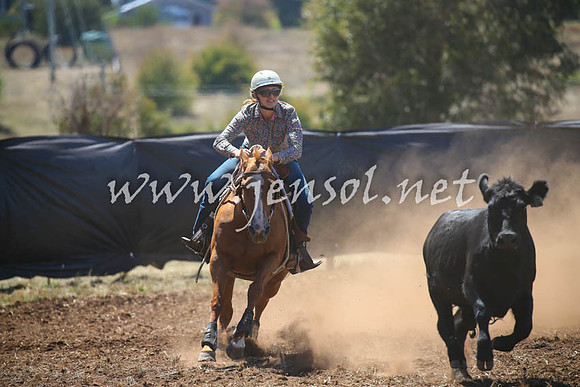 NimmitabelCampdraft2017_0228