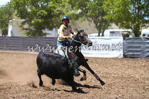 NimmitabelCampdraft2017_0087