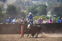 NimmitabelCampdraft2017_0078