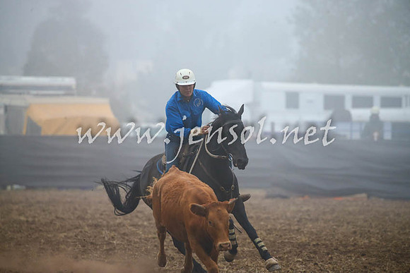 NimmitabelCampdraft2017_0756