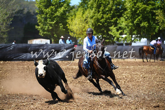 NimmitabelCampdraft2017_0385