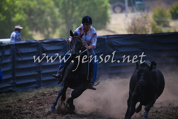NimmitabelCampdraft2017_0349
