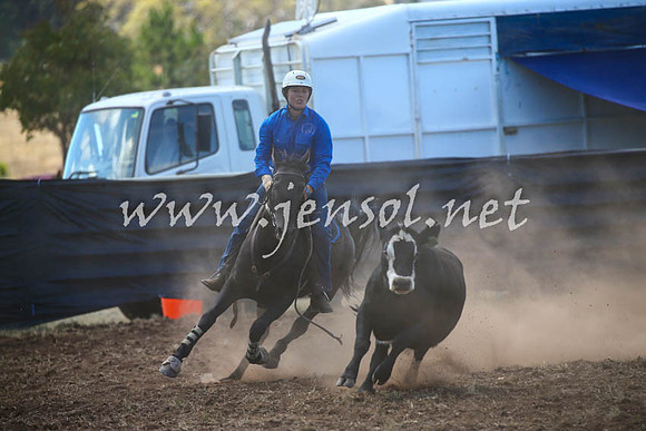 NimmitabelCampdraft2017_0358