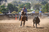 NimmitabelCampdraft2017_0175