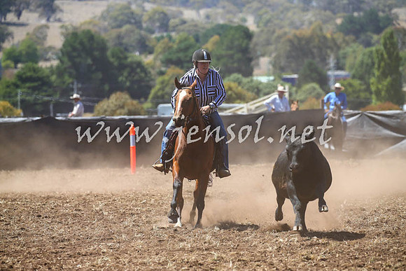 NimmitabelCampdraft2017_0175