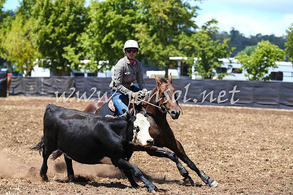 NimmitabelCampdraft2017_0295