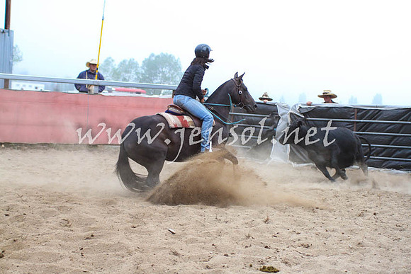 NimmitabelCampdraft2017_0008