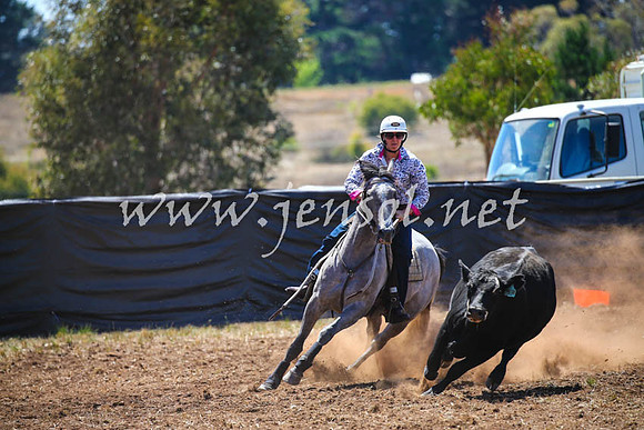 NimmitabelCampdraft2017_0123