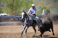 NimmitabelCampdraft2017_0132
