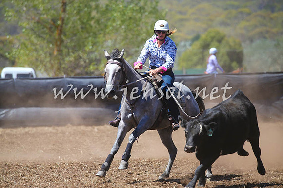 NimmitabelCampdraft2017_0132