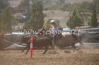 NimmitabelCampdraft2017_0226