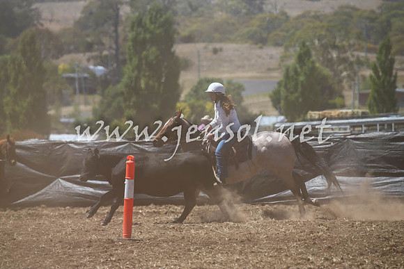 NimmitabelCampdraft2017_0226