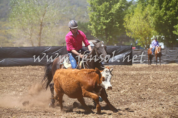 NimmitabelCampdraft2017_0158
