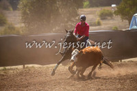 NimmitabelCampdraft2017_0147