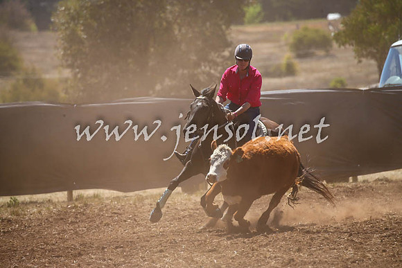 NimmitabelCampdraft2017_0147