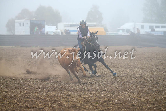 NimmitabelCampdraft2017_0790
