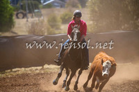 NimmitabelCampdraft2017_0152