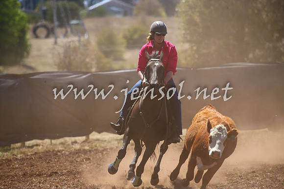 NimmitabelCampdraft2017_0152