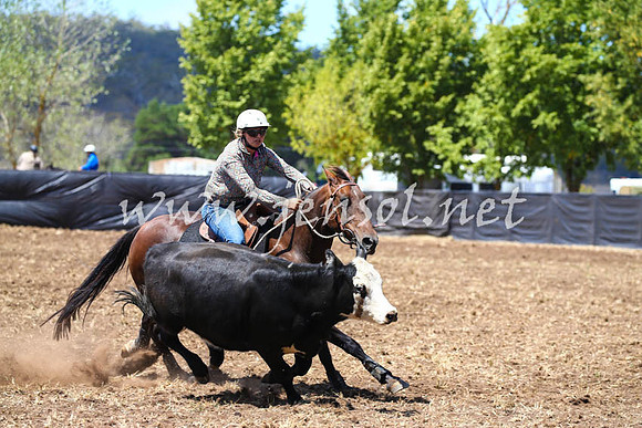 NimmitabelCampdraft2017_0281