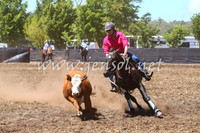 NimmitabelCampdraft2017_0164
