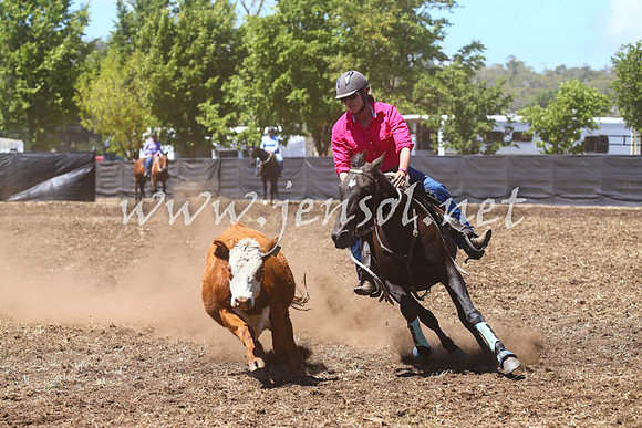 NimmitabelCampdraft2017_0164