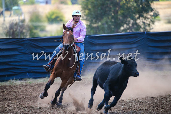 NimmitabelCampdraft2017_0374