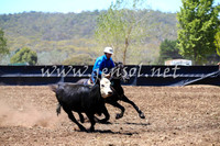 NimmitabelCampdraft2017_0105