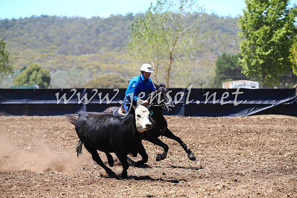 NimmitabelCampdraft2017_0105