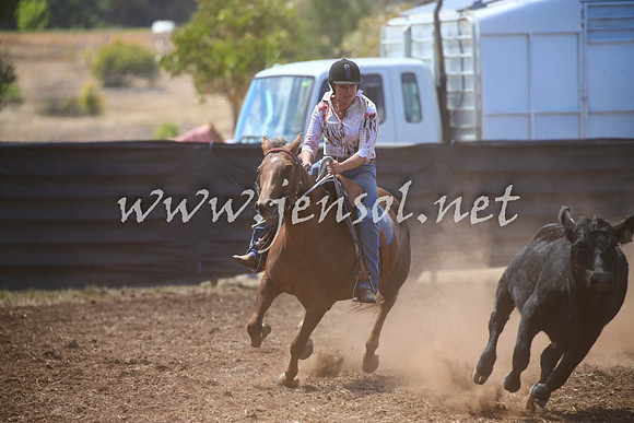 NimmitabelCampdraft2017_0389