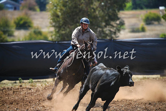 NimmitabelCampdraft2017_0274