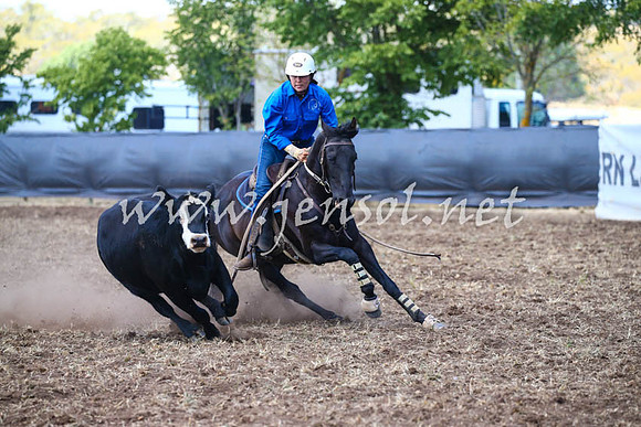 NimmitabelCampdraft2017_0363
