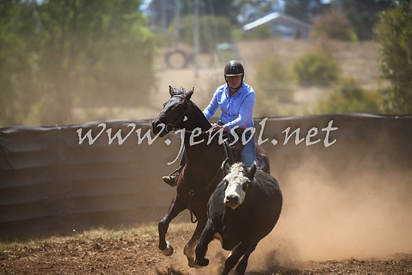 NimmitabelCampdraft2017_0379