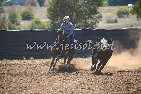 NimmitabelCampdraft2017_0070