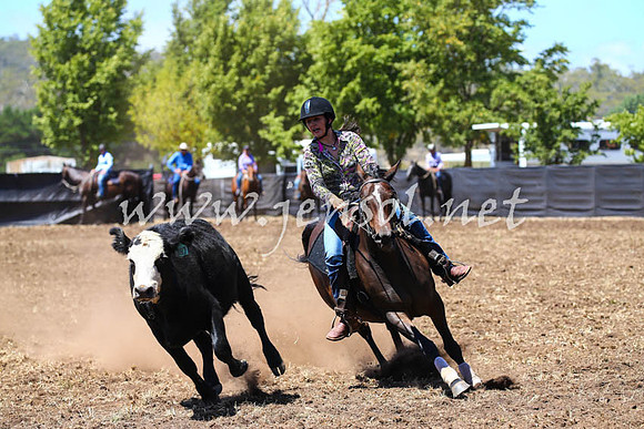 NimmitabelCampdraft2017_0246