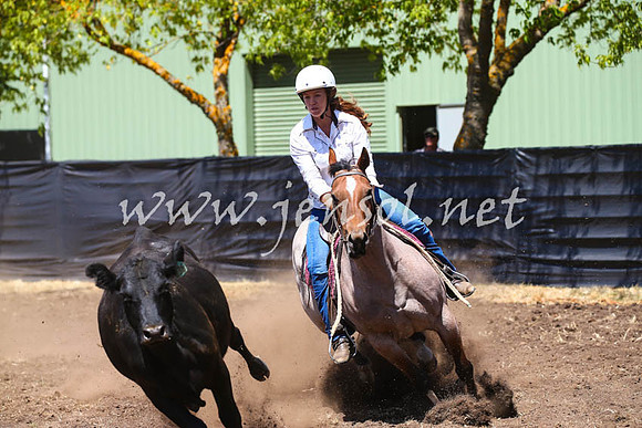 NimmitabelCampdraft2017_0204
