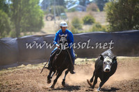 NimmitabelCampdraft2017_0099