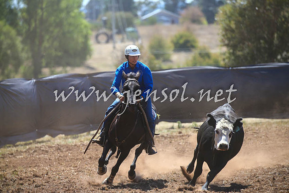 NimmitabelCampdraft2017_0099